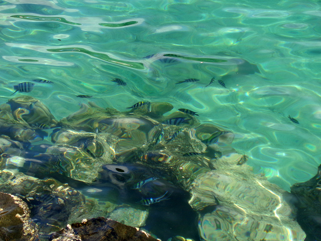 Potovanje_po_otoku_Sumatra_-_Travel_around_the_island_of_Sumatra_2.JPG