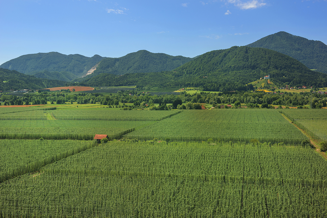01_Green_Savinjska_Valley_-_Photographer_-_Nea_Culpa_-_Source_-_www-slovenia-info.jpg