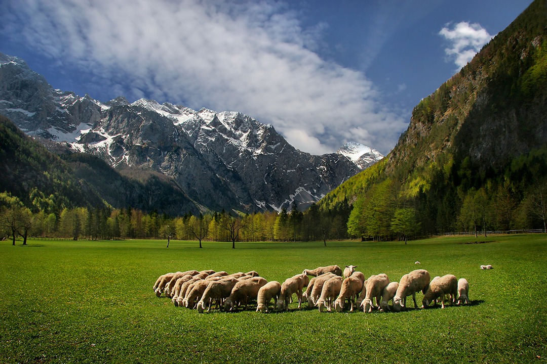 04_Logar_Valley_-_Photographer_-_Darinka_Mladenovic_-_Source_-_www-slovenia-info.jpg