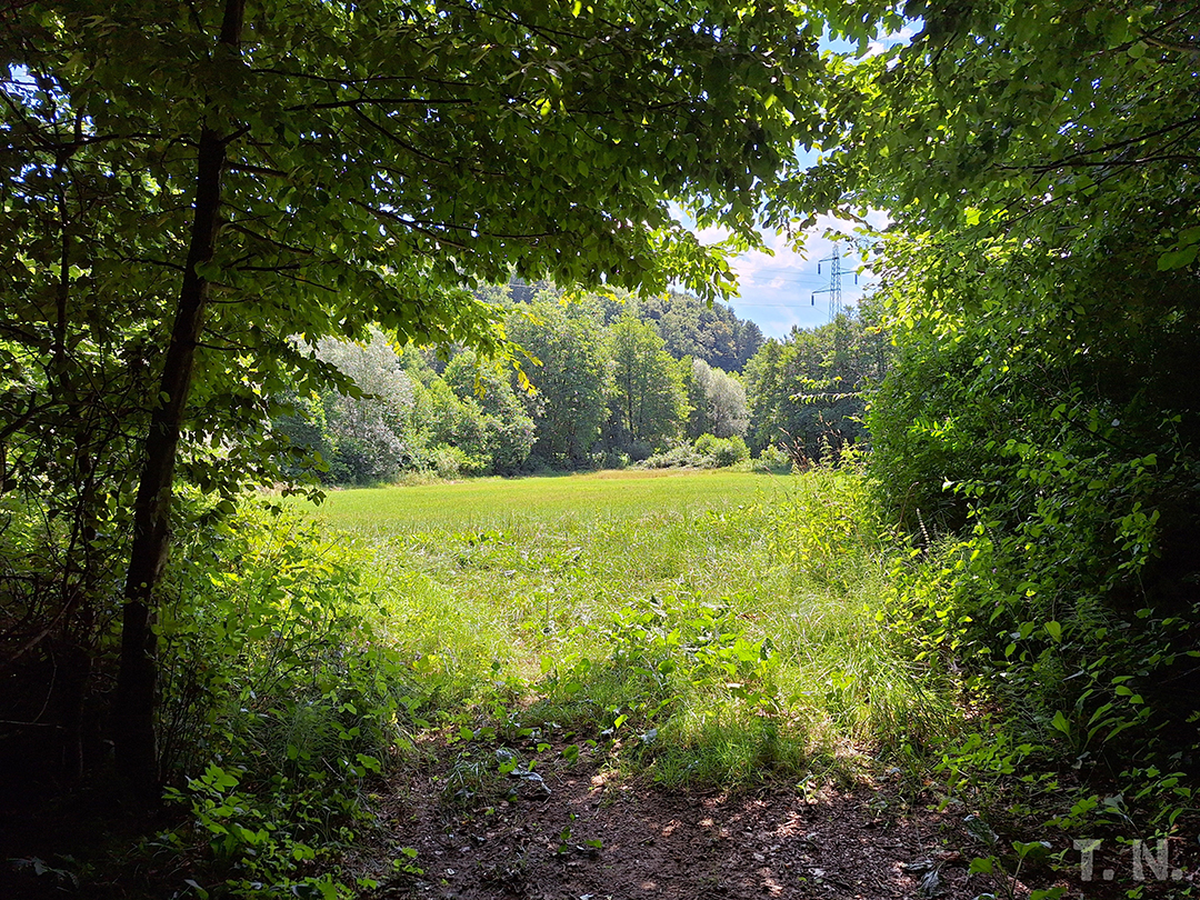 Sentiljska_planinska_pot_-_Sentiljska_mountain_trail_5.jpg
