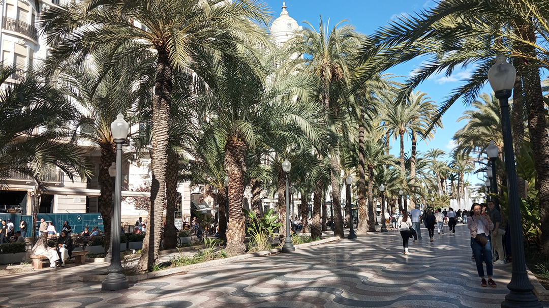 Sunny palm-lined promenade in Alicante captures the relaxed Mediterranean atmosphere of Spain’s Costa Blanca coast.