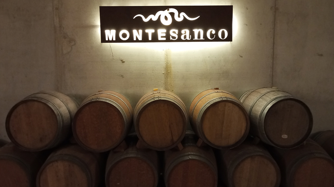 Wooden barrels and the interior of Montesanco winery showcase the wine-making tradition near Alicante.