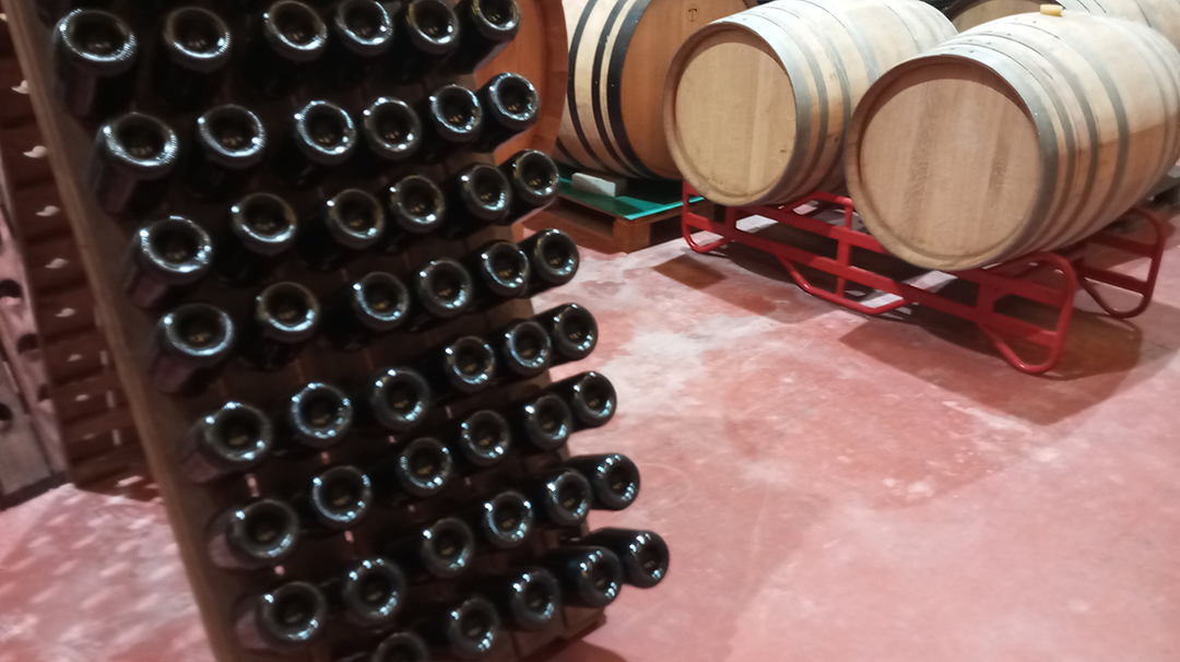 Wine bottles and wooden barrels in Claudio winery illustrate the wine aging process in Spain.