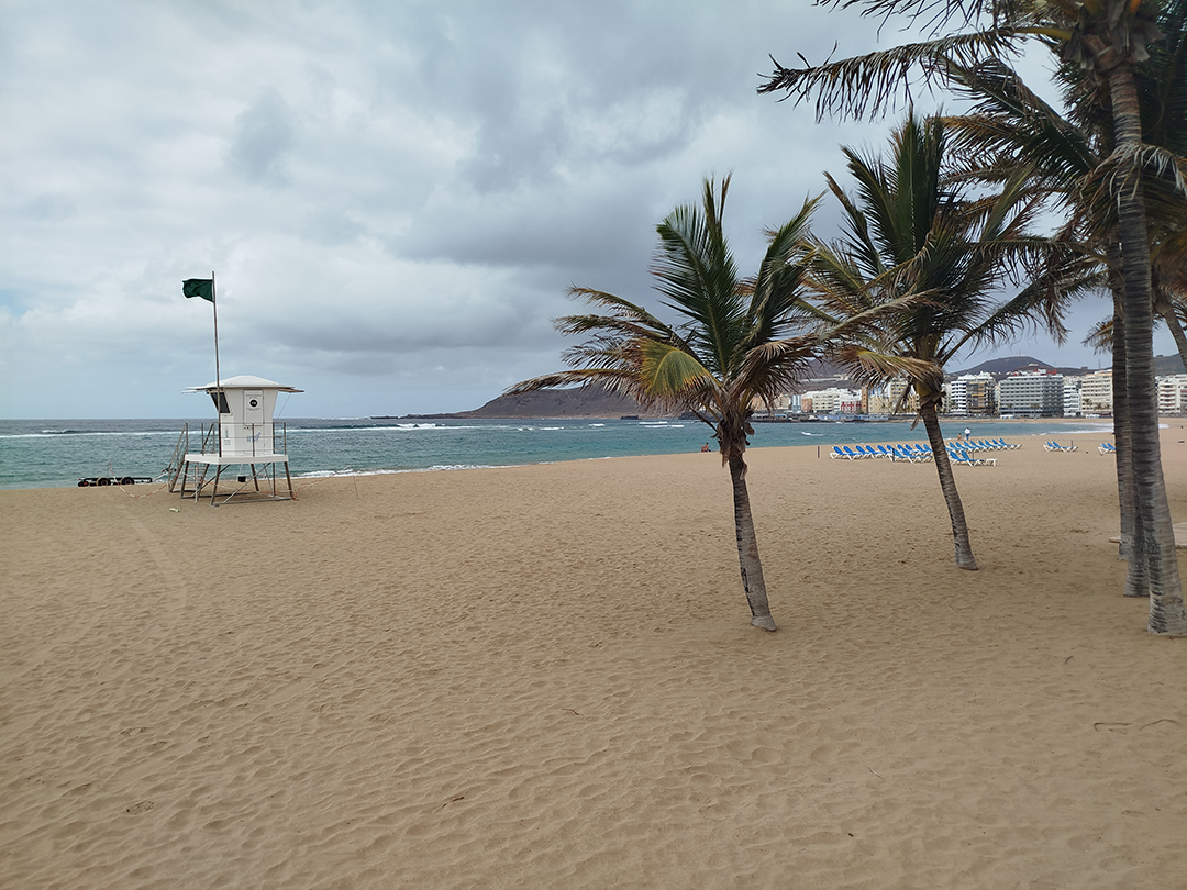 Las Canteras city beach in Las Palmas combines a relaxed atmosphere, the ocean, and everyday life on Gran Canaria.