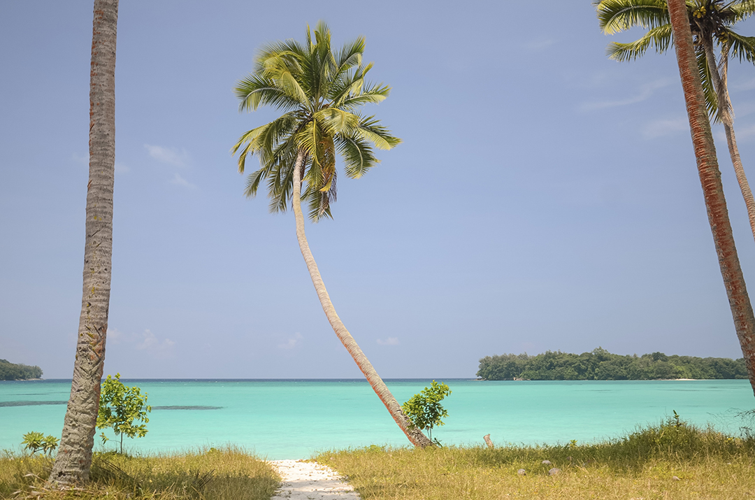 A view of Port Olry Beach on Espiritu Santo Island reveals white sand, turquoise waters and the untouched beauty of Vanuatu.