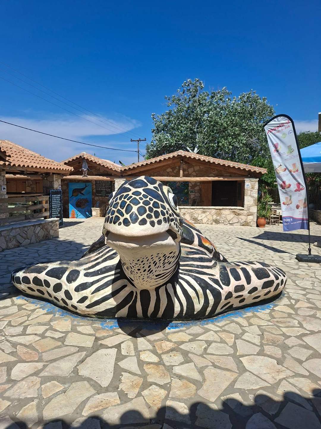 A sea turtle sculpture outside the Zakynthos Sea Turtle Rescue & Information Center highlights the conservation of endangered Caretta caretta turtles and their nesting beaches.